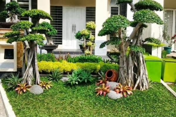 Taman minimalis dengan pohon bonsai