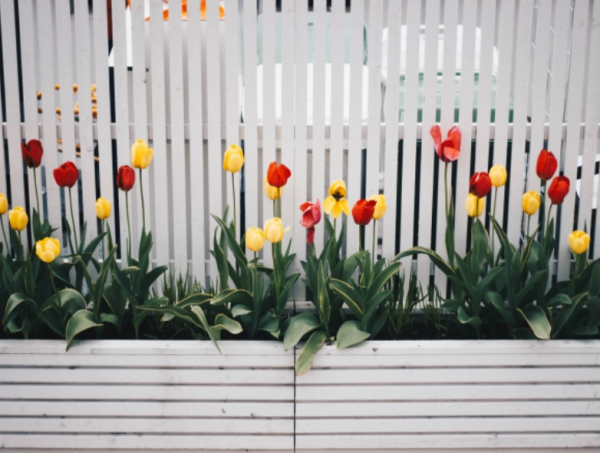 Taman minimalis dengan pagar kayu dan tanaman hijau