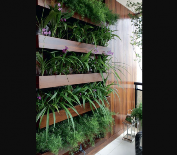 Taman minimalis dengan taman vertikal dinding
