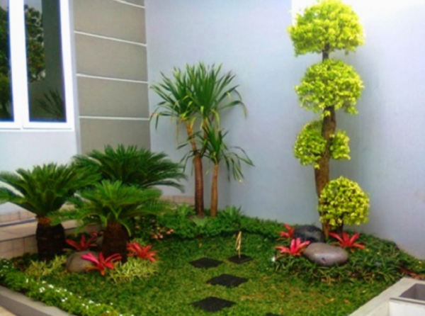 Pilih tanaman yang sesuai