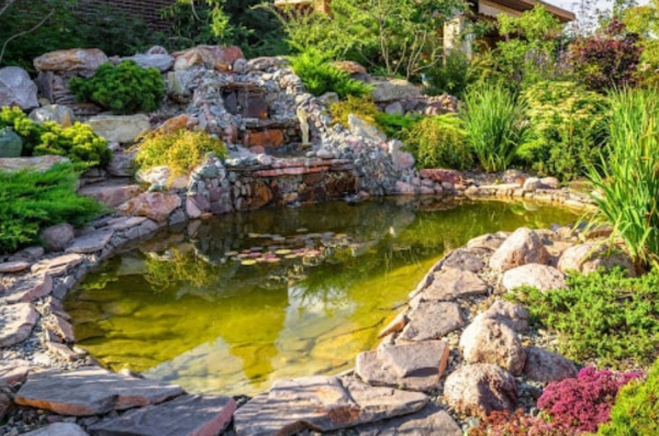 Kolam ikan mini dengan taman batu alami