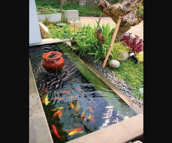 Desain Kolam Ikan Mini di Teras Rumah