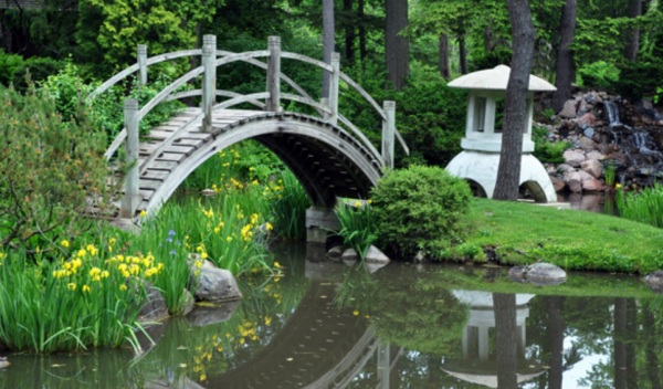 Taman Jepang dengan Jembatan Kayu