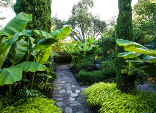 Taman Minimalis dengan Tanaman Rimbun