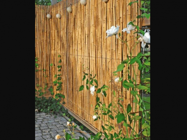 Pagar Bambu dengan Tanaman Rambat