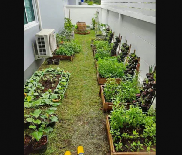 Taman Samping dengan Kebun Mini