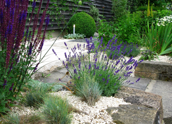 Taman Kering dengan Jalan Setapak Kerikil