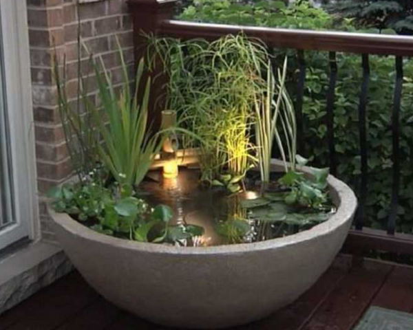 Kolam Ikan Koi di Dalam Pot