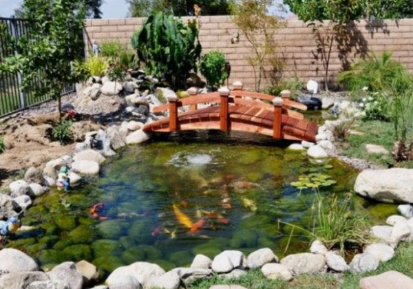 Kolam Ikan Koi dengan Jembatan Kecil