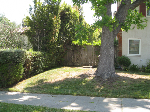 Halaman depan dengan pohon rindang