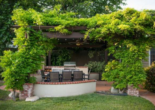 Halaman depan dengan dinding tanaman merambat