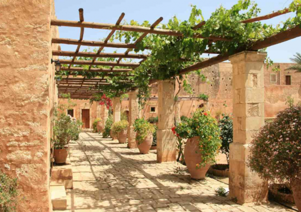 Taman kering dengan pergola dan tanaman rambat