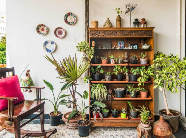 Taman dalam rumah dengan lemari