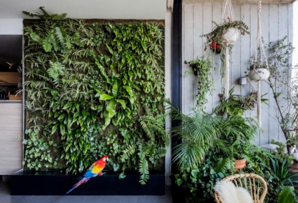 Taman dalam rumah dengan tanaman dinding