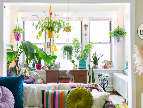 Taman dalam rumah dengan tanaman hias