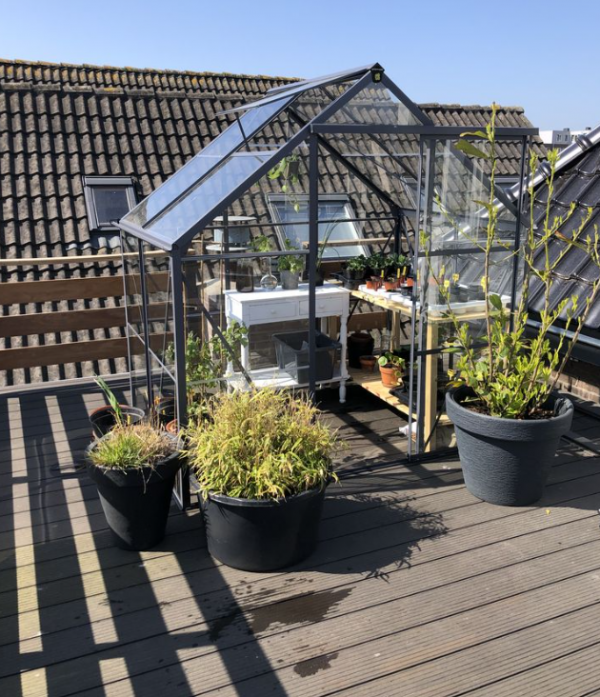 Rooftop dengan rumah kaca untuk tanaman hias