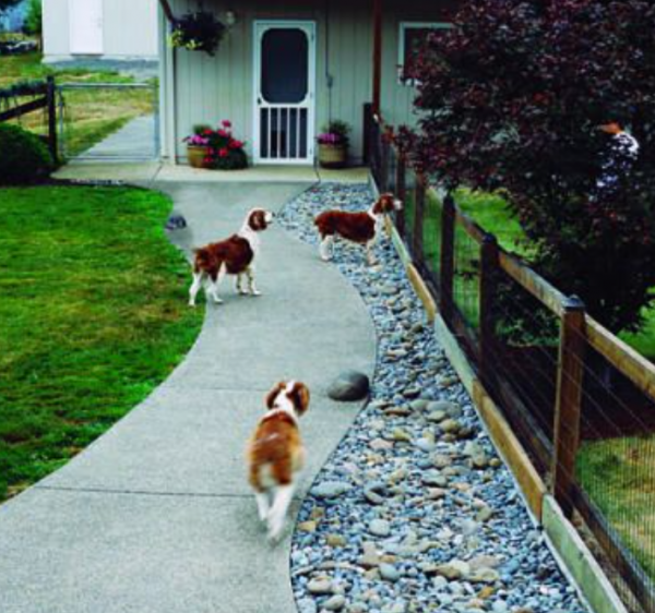 Taman kecil dengan area bermain binatang peliharaan