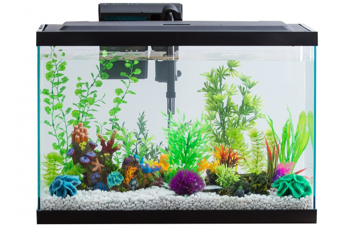 30 Contoh Gambar Desain Tutup Aquarium Minimalis dan Modern