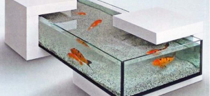 30 Contoh Desain Aquarium Sederhana Terkesan Mewah