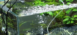 30 Contoh Gambar Desain Filter Aquarium Arwana Lengkap Terbaru