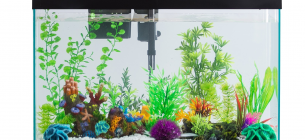 30 Contoh Gambar Desain Tutup Aquarium Minimalis dan Modern