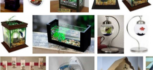 30 Desain Aquarium Model Rumah Murah Untuk Pemula