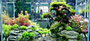 30 Desain Aquascape Minimalis Simple, Sederhana dan Terbaru