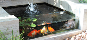 10 Desain Kolam Ikan Koi Minimalis Depan Rumah